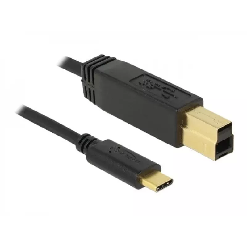 USB laidas DeLOCK 83675 USB 3.2 Gen 2 1m USB C USB B Juodas