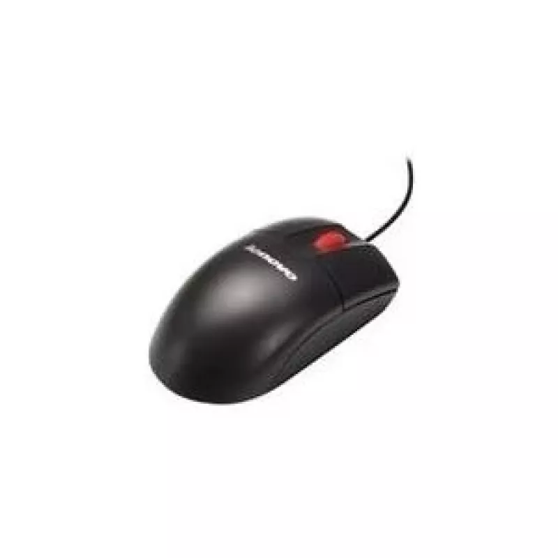 pelė IBM Optical 3 Button pelė USB 89Y1274