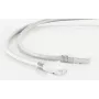Tinklo kabelis S/CONN Cat. 5e F/UTP 2 m