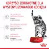 Sausas kačių maistas Royal Canin Kitten Sterilised 3,5 kg — paukštiena, 34 % baltymų, 12 % riebalų