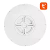 Išmanusis lubinis šviestuvas 30 cm WiFi / Bluetooth 16M RGBCW Gosund LB12 1920 lm Tuya + nuotolinio valdymo pultelis.