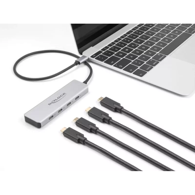 DeLOCK USB Type-C šakotuvas 10 Gbps 4 prievadai aliuminis pilkas