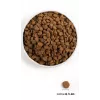 ORIJEN šuniukams - sausas šunų maistas - 6kg