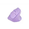 NATEC Crake 2 pelė universali dešiniarankiams RF belaidė + Bluetooth optinė 2400 DPI