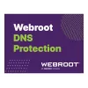 Webroot | DNS Protection with GSM Console | 2 metai | Licencijos kiekis 1-9 vnt.
