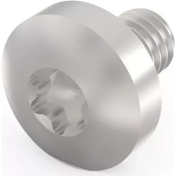 Schroff Torx varžtas M4X6 E/PRO (100 vnt./rinkinys) (24560151)