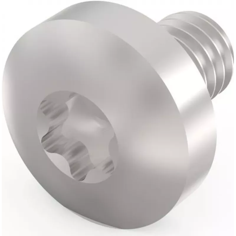 Schroff Torx varžtas M4X6 E/PRO (100 vnt./rinkinys) (24560151)