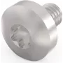 Schroff Torx varžtas M4X6 E/PRO (100 vnt./rinkinys) (24560151)