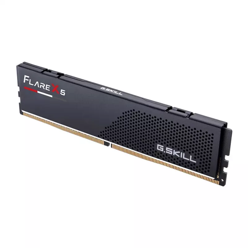 G.Skill Flare X5 F5-5200J4040A32GX1-FX5, 32 GB, 1 x 32 GB, DDR5, 5200 MHz, 288-pin DIMM