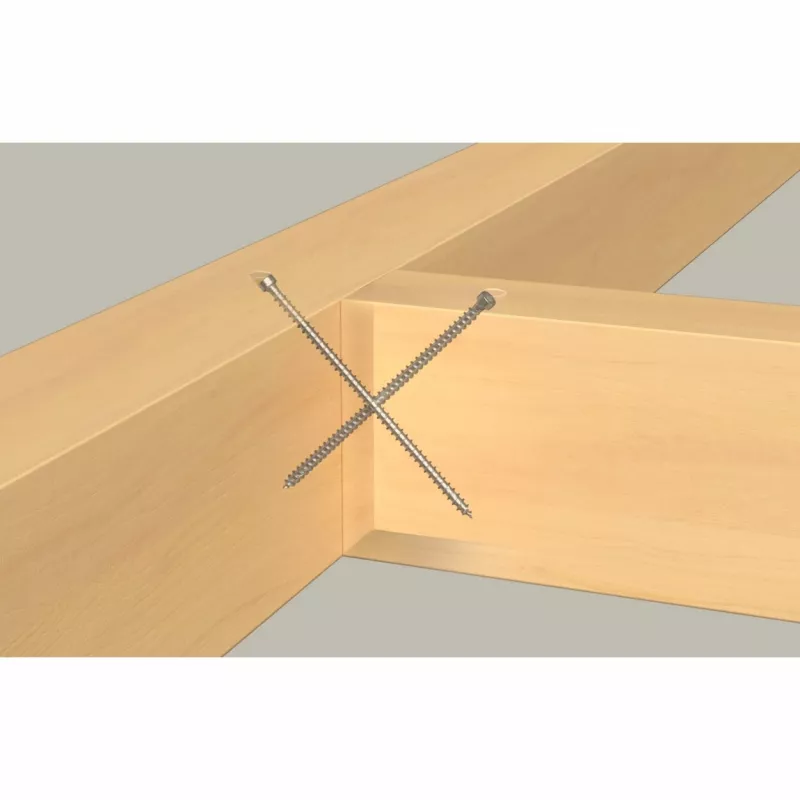 Fischer 562961