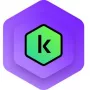 Kaspersky Small Office Security – 5 vartotojų, 1 mėnuo - Prenumerata (ABO) – ESD-Atsisiuntimas