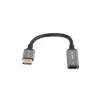 Lanberg AD-DP-HD-04 vaizdo kabelio adapteris 0,2 m DisplayPort HDMI