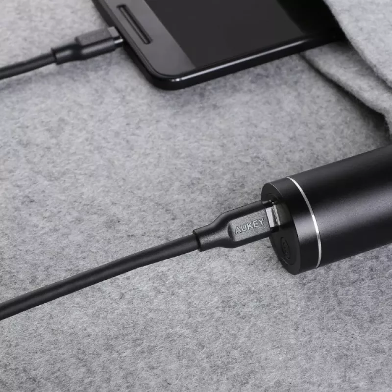 USB-C laidas Aukey CB-CC1P 1 m, 60W PD, USB-C į USB-C