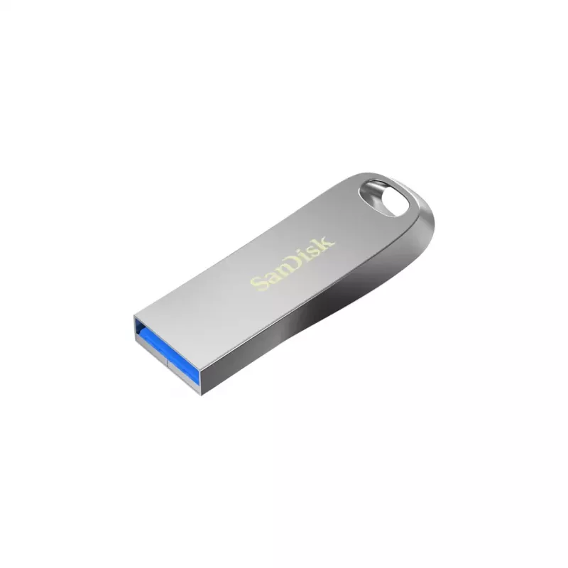 Atminties diskas Flash USB3.2/1TB SDCZ74-1T00-G46 Sandisk