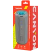 Canyon CNE-CBTSP15BG nešiojamasis garsiakalbis smėlio spalvos