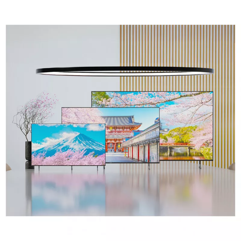 164,0cm/65 inch (3840x2160) JAPANNEXT JN-IPS650UHD60F 16:9 IPS 60Hz HDMI USB WLAN Garsiakalbis Juoda