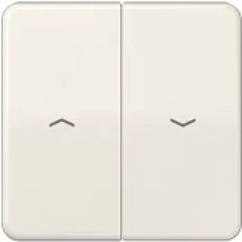 JUNG svirties tipo jungiklis / mygtukas CD595P CD500 baltas CD595P (CD595P)