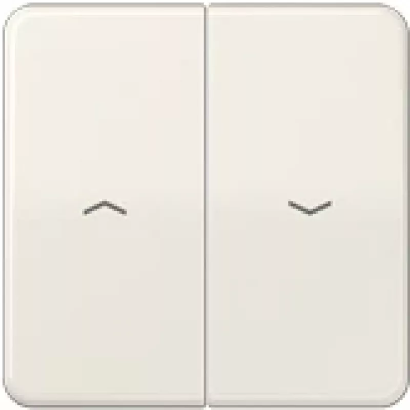 JUNG svirties tipo jungiklis / mygtukas CD595P CD500 baltas CD595P (CD595P)
