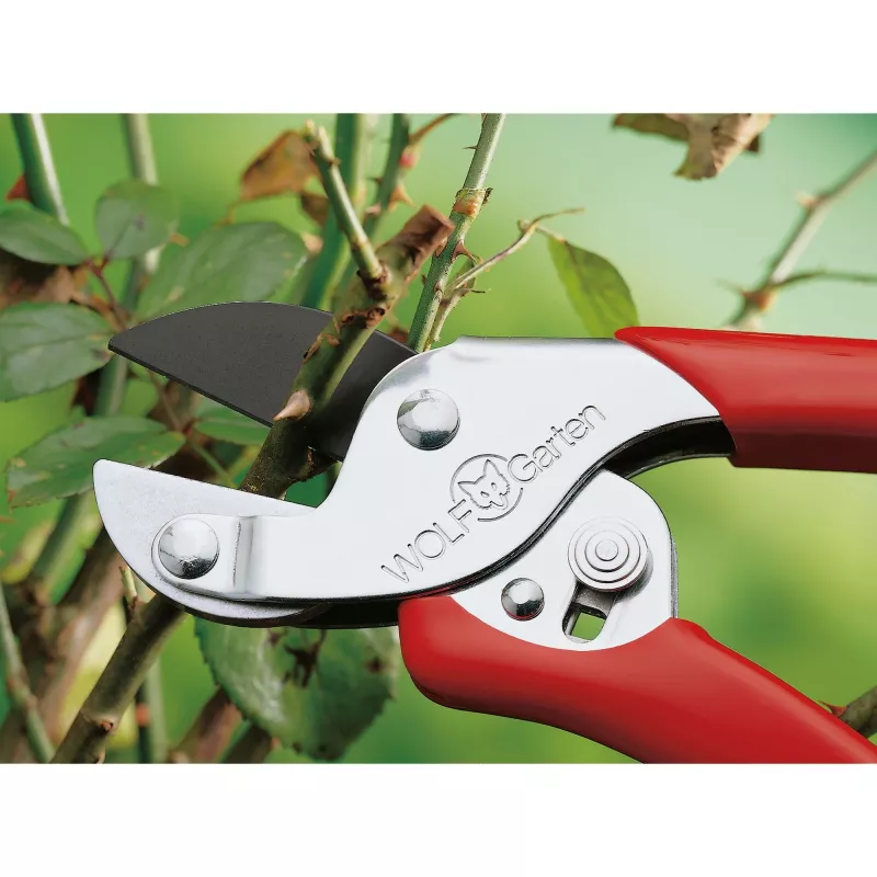 Sodo vejos kraštų žirklės wolf garten RS-EN, modelis 7210060
