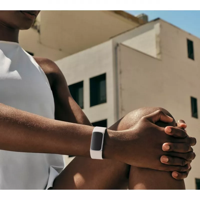 Fitbit GA05185-EU gaminys sidabrinis