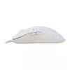 Pelė White Shark GM-9004 Tristan-2 balta RGB USB