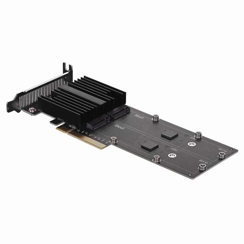 Synology M2D20 sąsajos kortelės / adapteris vidinis PCIe