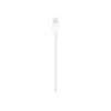 Apple Lightning į USB kabelis 1m MUQW3ZM/A