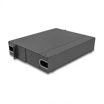 Patch panel DeLOCK 66752 19 colių 24 prievadų