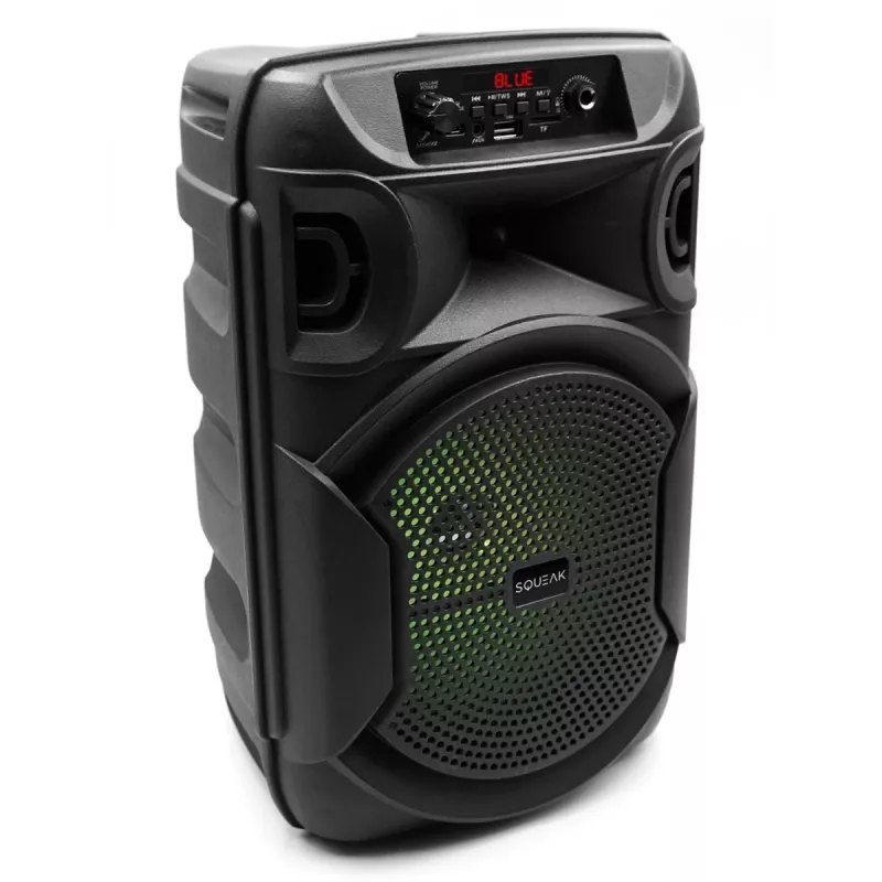BLUETOOTH GARSIAKALBIS 5.3 E DR PULSETOWER SQ1006