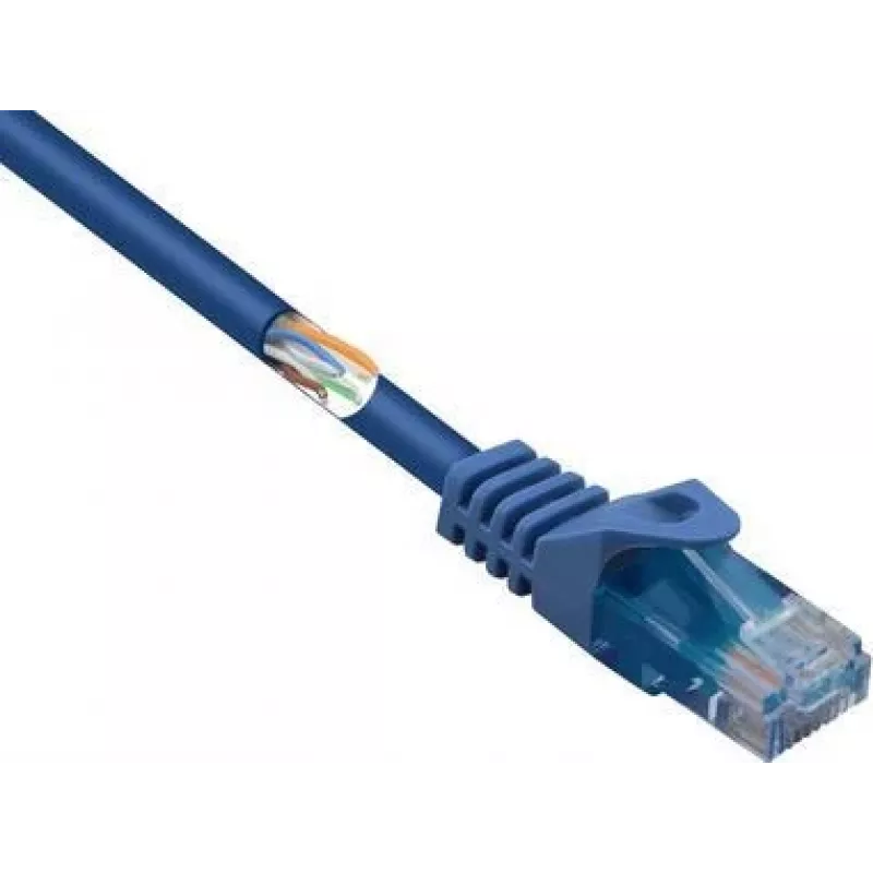 Renkforce RF-5042666 Ethernet komutacinis kabelis Blue