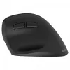 Ergonominė dešiniarankė belaidė pelė, dviguba WL+BT