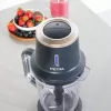 Stalinis plakiklis Petra PT5393BGRYVDE