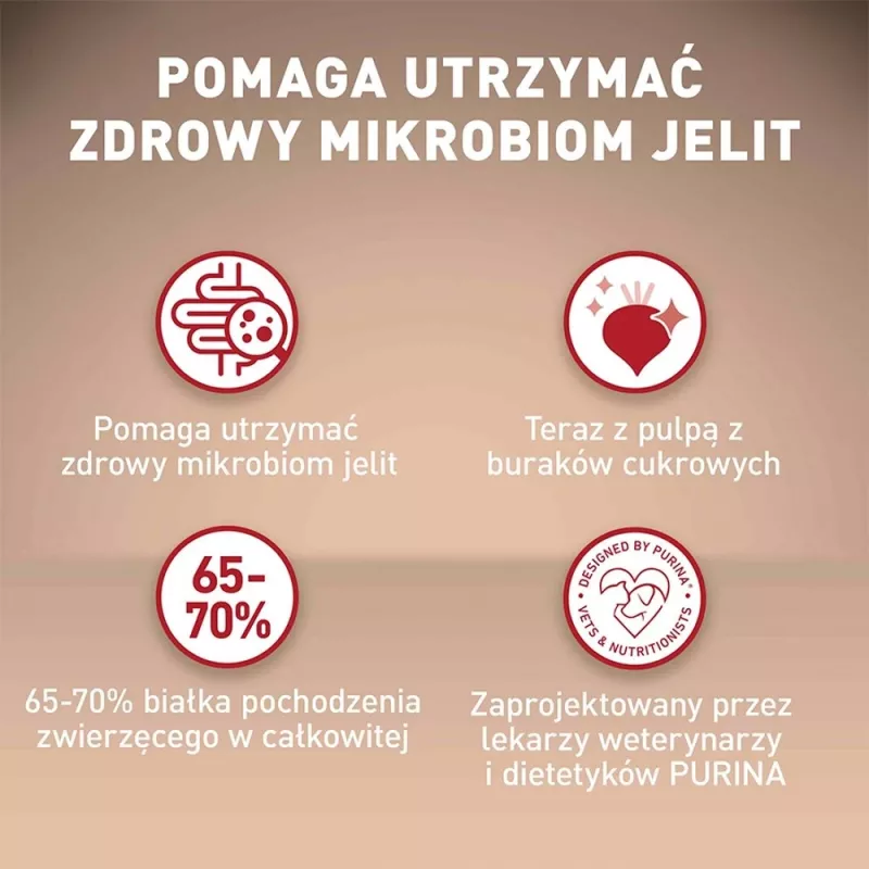 Sausas šunų maistas Purina Nestlé One Mini/Small Sensitive Salmon & Rice 800 g – mažoms veislėms (5–10 kg), senjorams, 27% baltymų, 17% riebalų