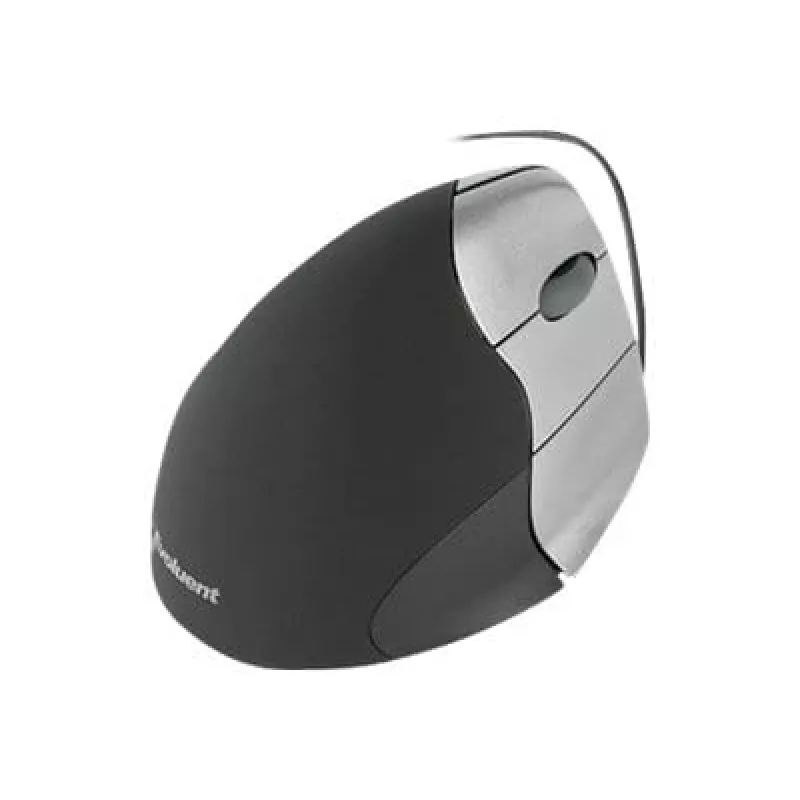 Evoluent Verticalpelė 3 pelė USB Type-A
