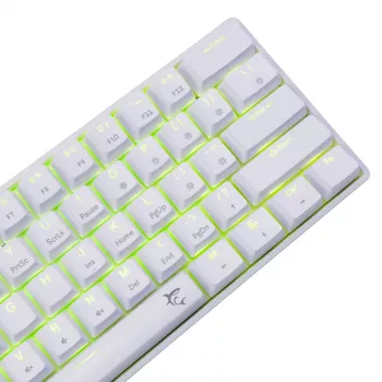 Laidinė mechaninė klaviatūra White Shark Shinobi-2 (GK-004221) — mėlyni jungikliai, balta, JAV išdėstymas