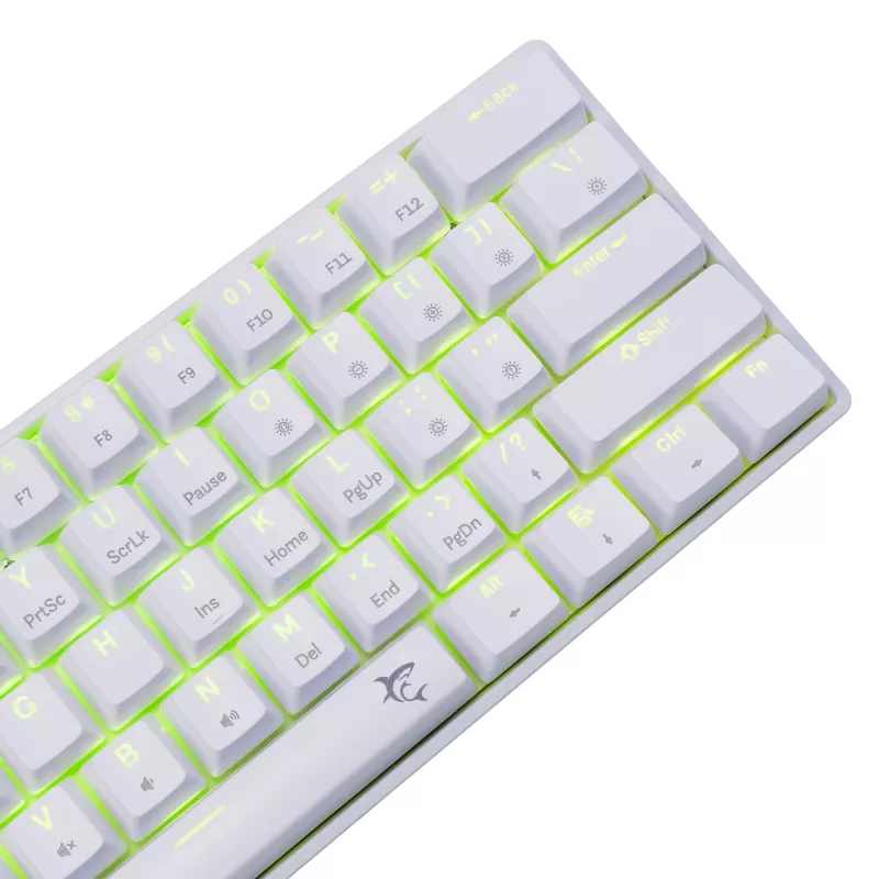 Laidinė mechaninė klaviatūra White Shark Shinobi-2 (GK-004221) — mėlyni jungikliai, balta, JAV išdėstymas