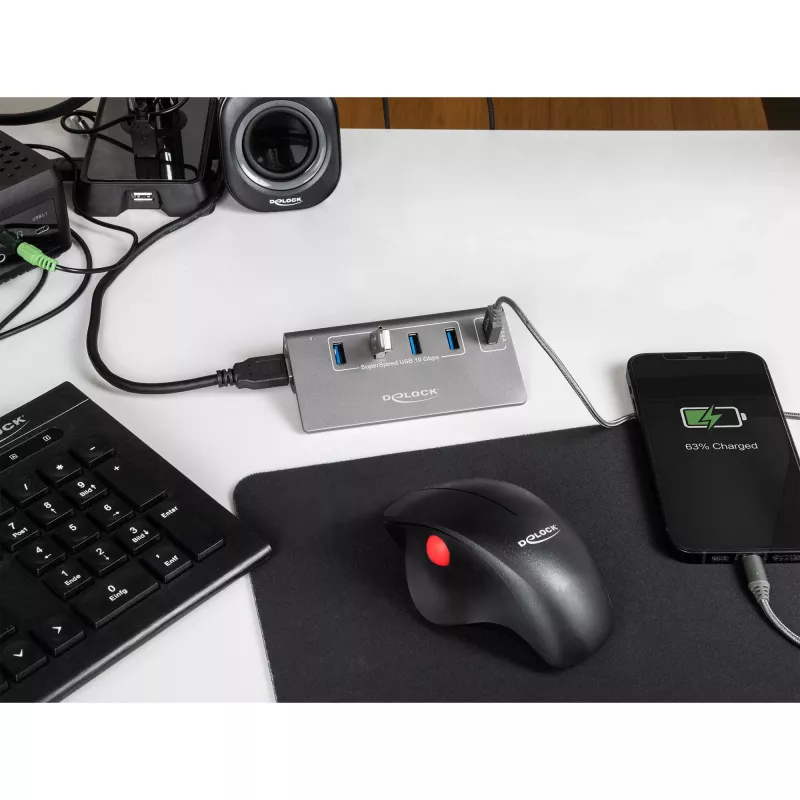 DeLOCK USB šakotuvas 10 Gbps 4 Type-A prievadai 1 greitojo įkrovimo prievadas