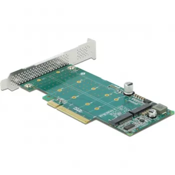 DeLOCK PCI Express x8 kortelė į 2 vidinius NVMe M.2 Key M lizdus su bifurkacija, žemo profilio