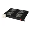 Vėdinamas tuščias skydelis Digitus DN-19 FAN-4-HO-SW
