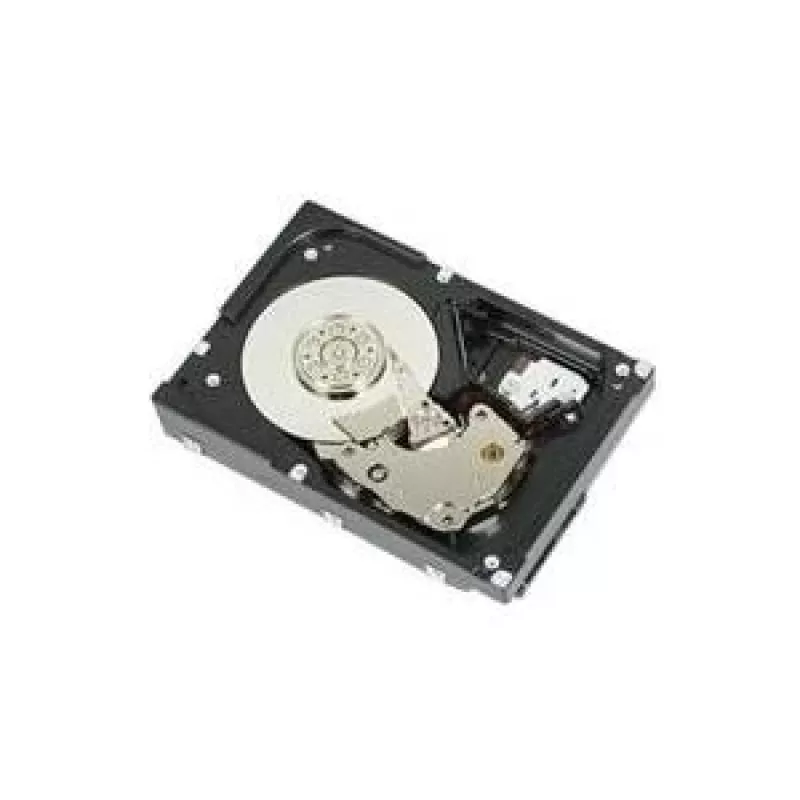 DELL WTJVY vidinis kietasis diskas 2 TB 7200 RPM 3,5 col. NL-SAS