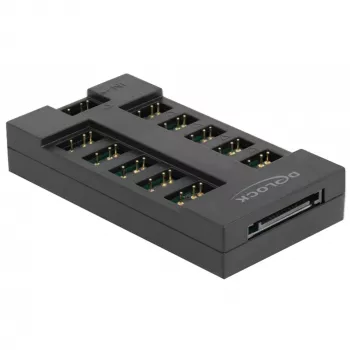 Delock - RGB LED šviesos koncentratorius - 10 prievadų - juodas (64128)