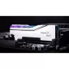 DIMM 48 GB DDR5-7200 (2x 24 GB) Dual-Kit, atmintinė sidabrinė, F5-7200J3646F24GX2-TR5S, Trident Z5 Royal, INTEL XMP