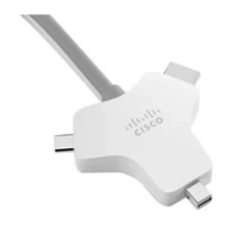 MULTI-HEAD laidas 2,5 metrų 4K USB-C HDMI Minidp