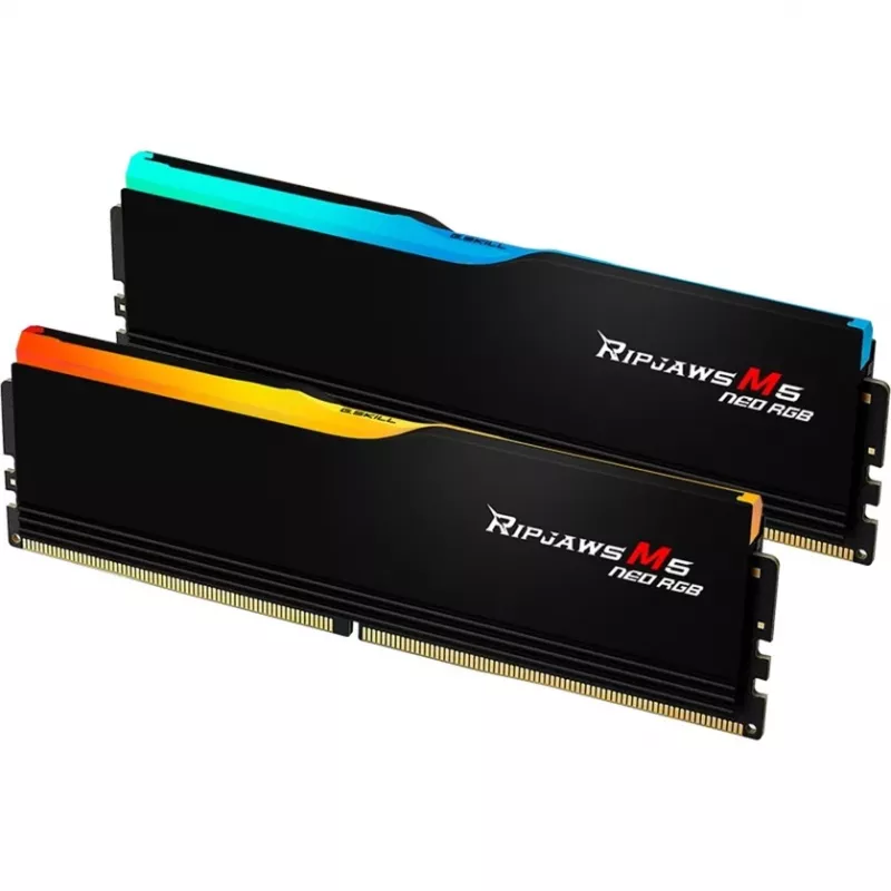 G.skill F5-6000J3636F16GX2-RM5NRK atminties modulis