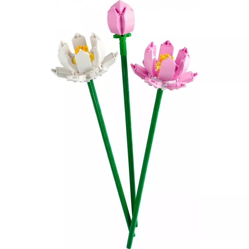 LEGO konstruktorius LEGO 40647 Lotosai — Botanical Collection modulinis modelis, 220 dalių, aukštis 300 mm, amžius 8+