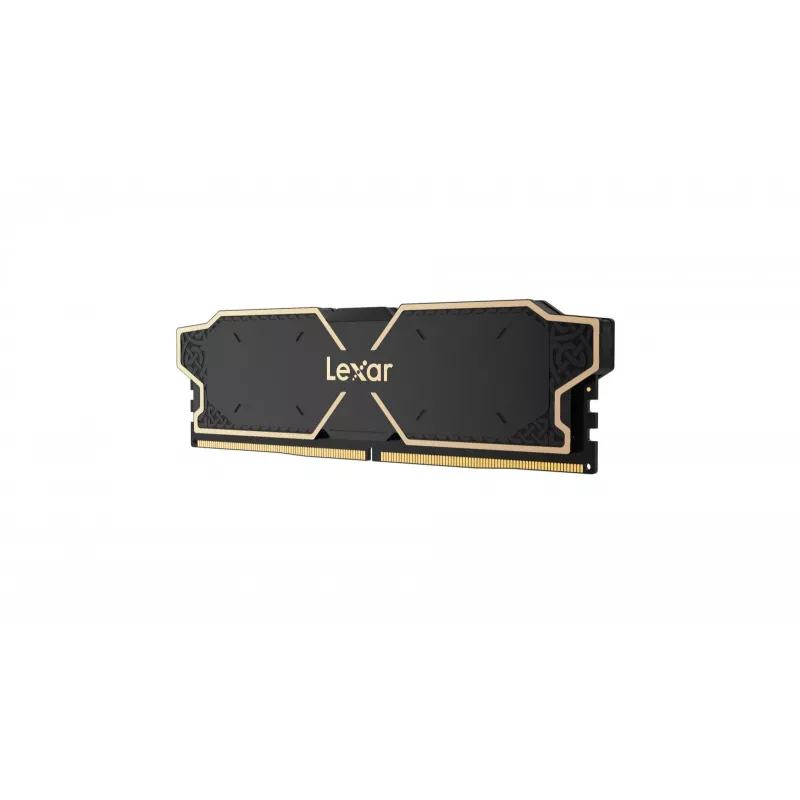 Lexar LD5U08G60C38LG-RGD atminties modulis