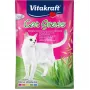 Kačių žolės sėklos Vitakraft 50 g — valgomas augalinis mišinys katėms, 50 g paketėlis, palaiko virškinimą ir padeda šalinti plaukų kamuolius