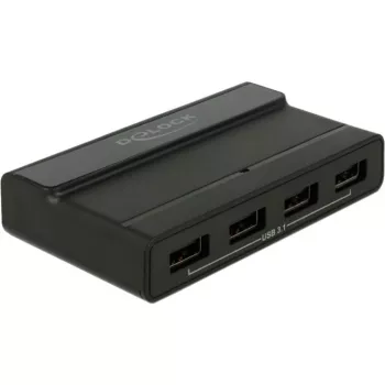 USB koncentratorius DeLOCK išorinis 4 prievadų 10 Gbps