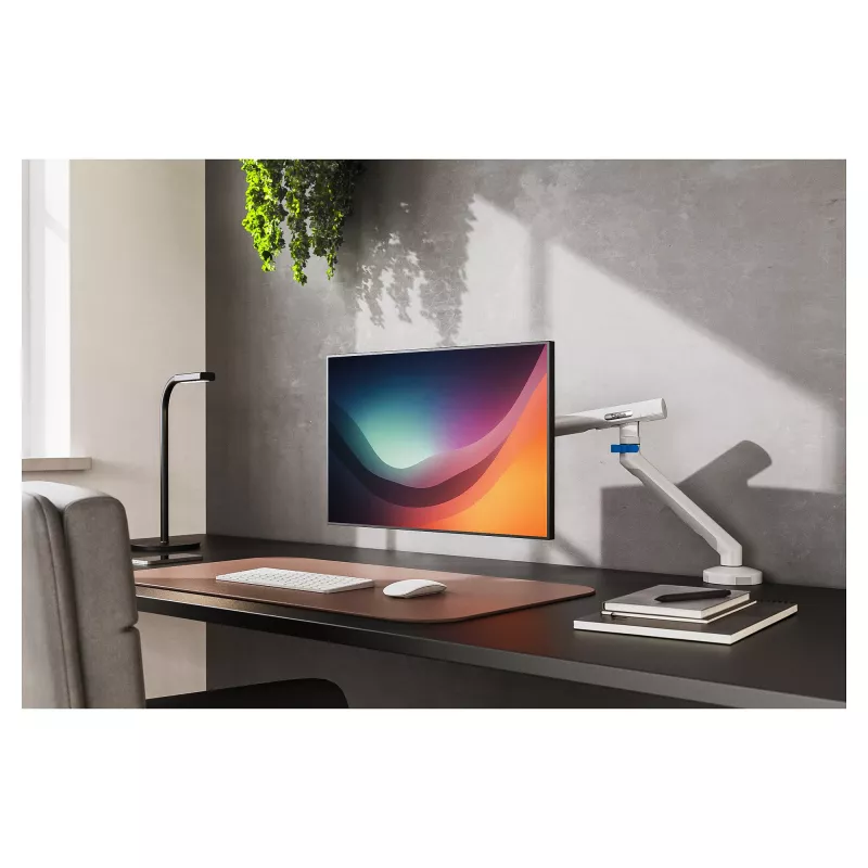 Monitoriaus laikiklis DIGITUS Single, skirtas iki 35 colių ekranams, spaustukas, 10 kg, VESA 75x75–100x100, pakreipimas -45–90°