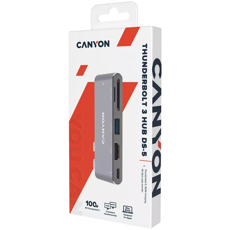 Canyon DS-5 USB 2.0 Type-C pilkas SD kortelių skaitytuvas 60 Hz